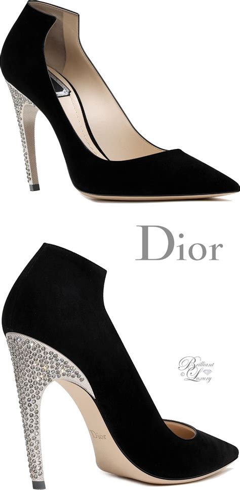 dior durchsichtige schuhe|dior designer shoes color.